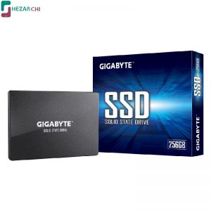 GIGABYTE 256G SATA SSD GP-GSTFS31256GTND